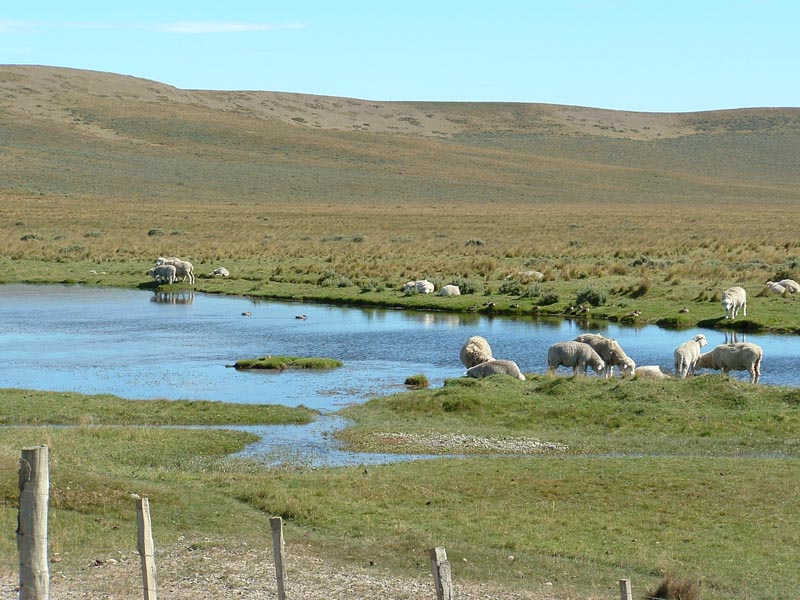 Laguna