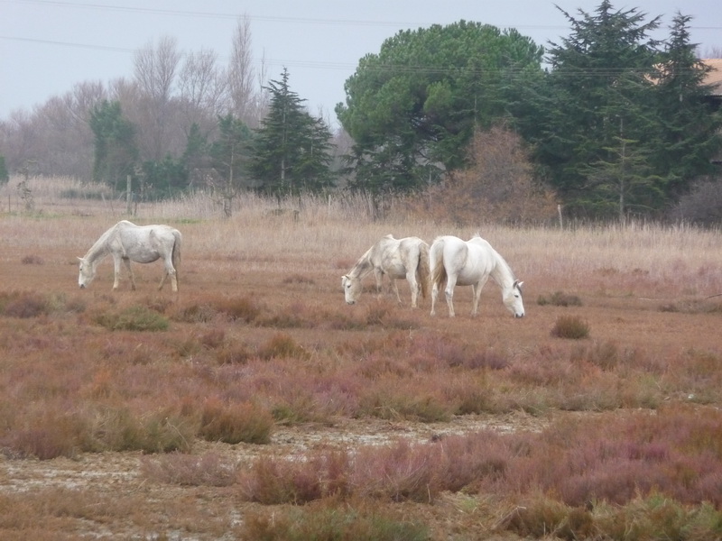 foto_23