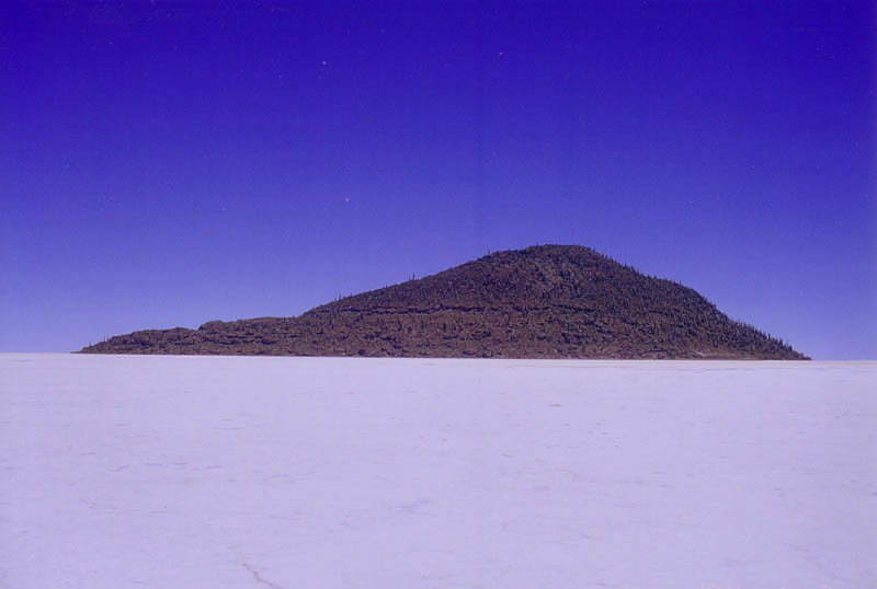 isla de pescado