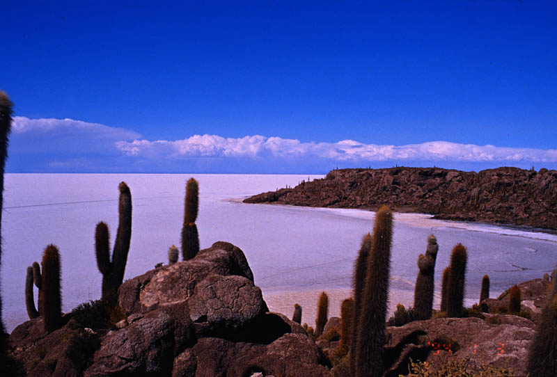 vista da Isla Pescado