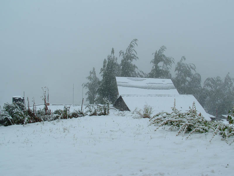 e nevica