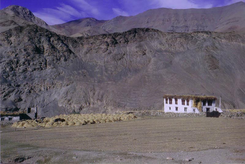 casa ladakha