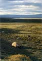 campo su ruta 40