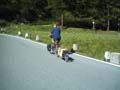 ciclista olandese